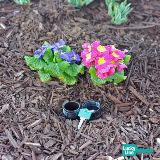 Picture of Sprinkler Key Hider®