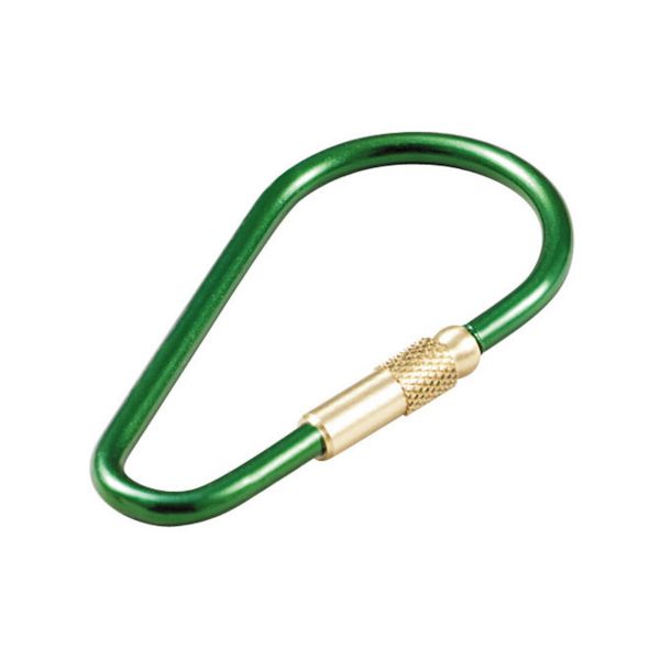 Picture of Anodized Oval Key Ring