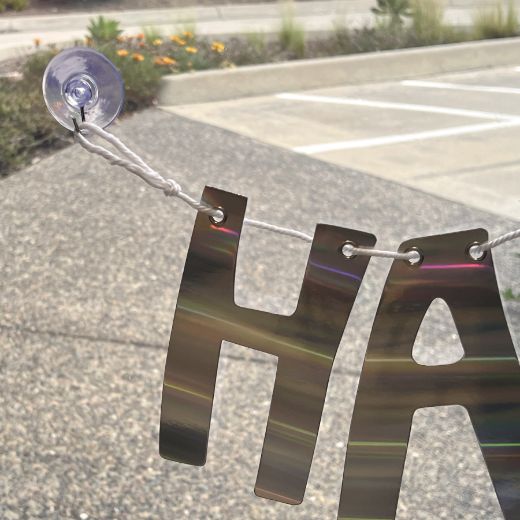 Picture of Suction Cup Hook