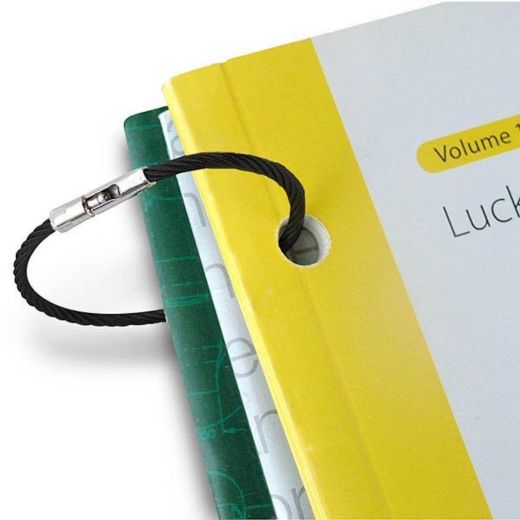Picture of Flex-O-Loc® Storage Ring