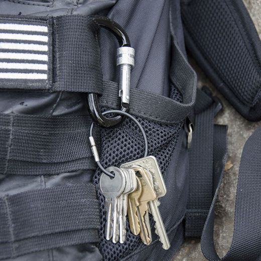 Picture of Locking Carabiner
