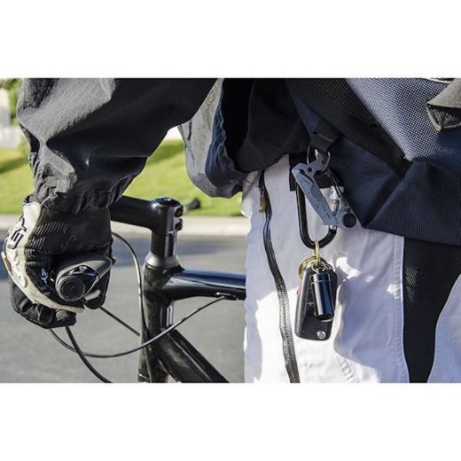 Picture of Locking Carabiner