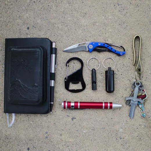 Fish Hook Key Carrier