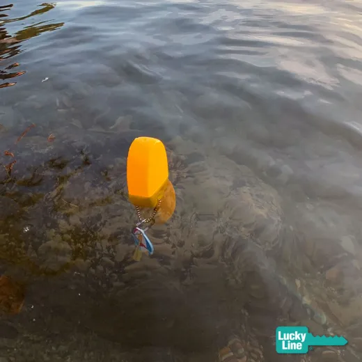 Soft Key Float