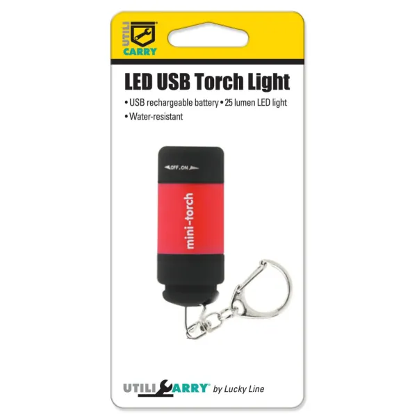 USB TORCH LIGHT ASST 1/CD