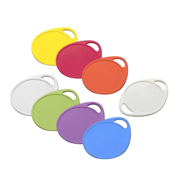 LABEL-IT KEY TAG  LIME